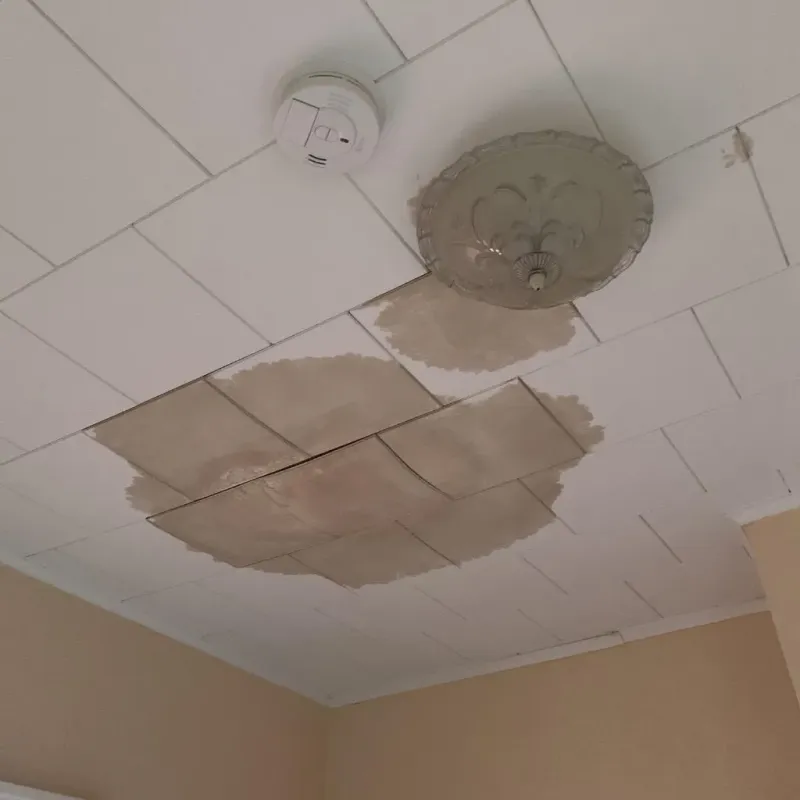 Ceiling Water Damage Repair in Dover, AR