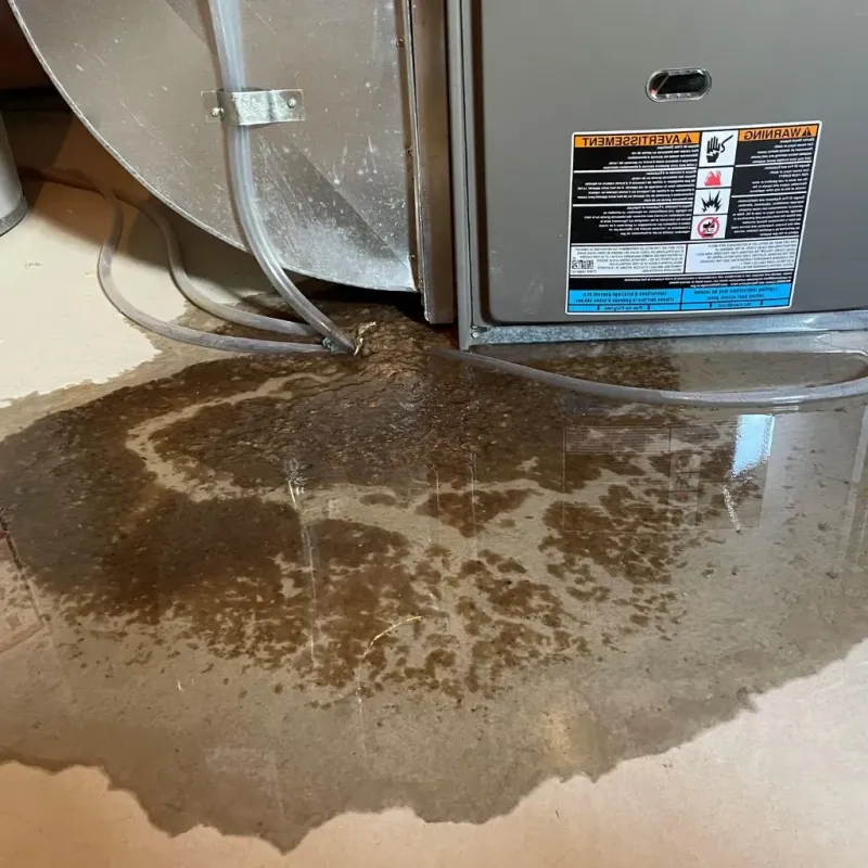 Pipe Burst and Leak Restoration in Dover, AR
